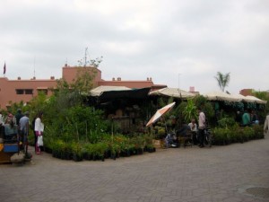 Garden center Morocco style