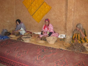 Women cracking open the argan pods.