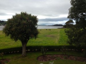 View from my sick room of the host's horses and the estuary