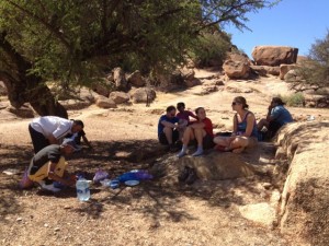 Picnic lunch in the shade