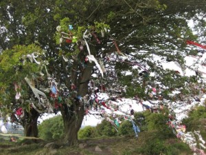 A tree where people leave offerings.