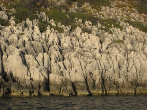 Rocky shores