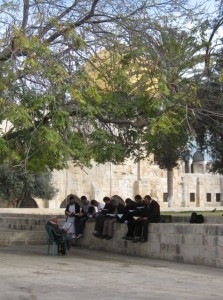 Group praying and studying the Quran