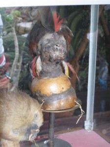 Shrunken head