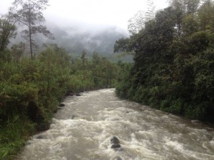 The Mindo River in its mad rush