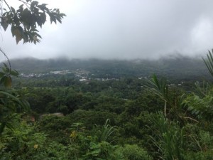 Mindo on the walk up to the cable car