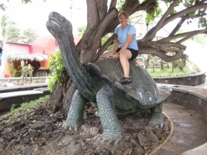 Riding a very giant tortoise in Puerto Ayora