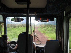 A giant tortoise blocking the road