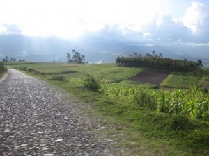 The road back to town