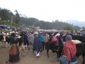 Bargaining for cows and bulls