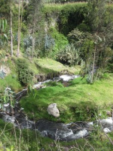 Walking to the waterfall