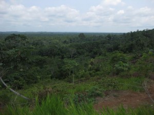 The Cuyabeno reserve