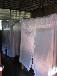 Our beds with "mosquito netting"