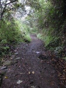 The climb up to Bellavista view point