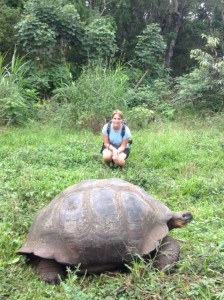 Getting up close with a massive male - he was about 1.5 meters across.