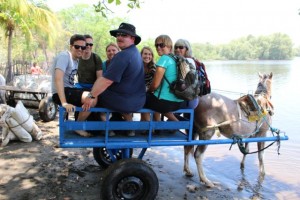 Horse cart out to the beach