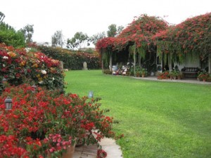 Cafe in the garden of Museo Larco