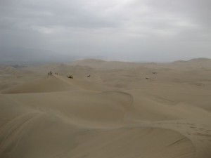 The dunes