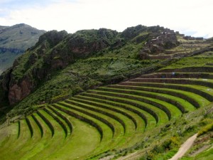 Ruins and agricultural terraces - terraces no longer used as they are preserved as part of the historical site