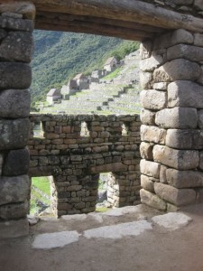 Windows of the houses