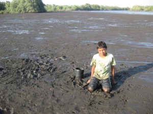 Boy gathering clams at low tide