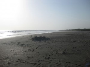 The beach