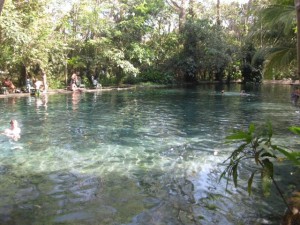 Mineral springs